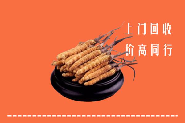 高价求购：丹东宽甸回收散虫草
