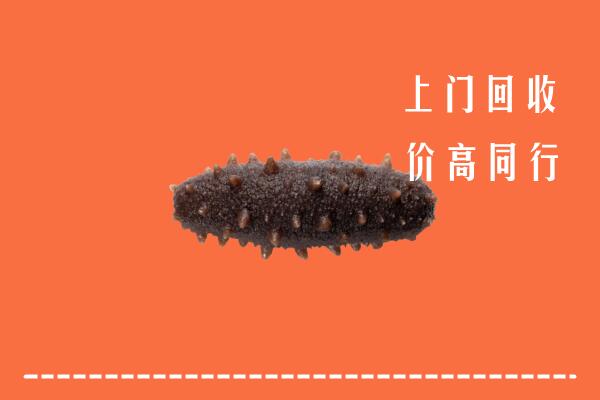 高价求购：丹东宽甸回收海参